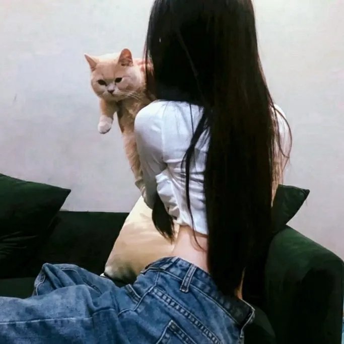 卧车上的谋杀案 在线观看